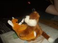 IMGP0764.JPG